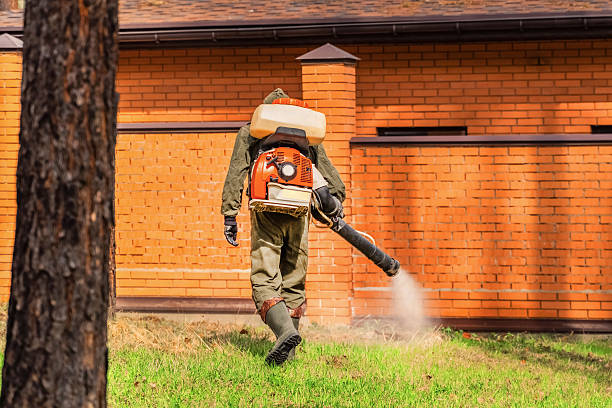 Trusted Bed Bug Control service in Lame Deer, MT - Nex Pest Control